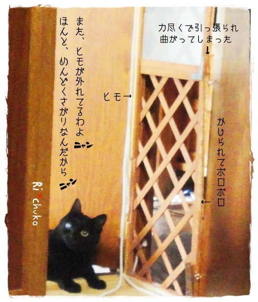 f:id:nyan-chuke:20190807192648j:plain f:id:nyan-chuke:20190807192648j:plain