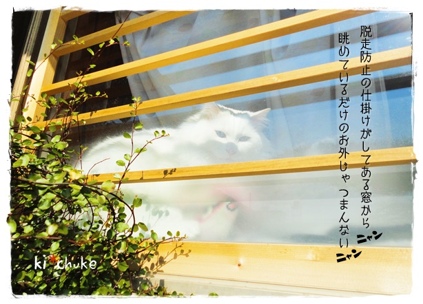 f:id:nyan-chuke:20190807202846j:plain f:id:nyan-chuke:20190807202846j:plain