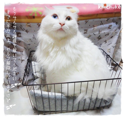 f:id:nyan-chuke:20190808155320j:plain f:id:nyan-chuke:20190808155320j:plain