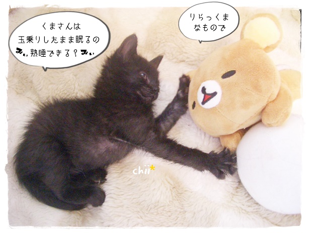 f:id:nyan-chuke:20190819004347j:plain f:id:nyan-chuke:20190819004347j:plain