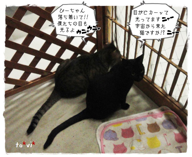 f:id:nyan-chuke:20190819134514j:plain f:id:nyan-chuke:20190819134514j:plain