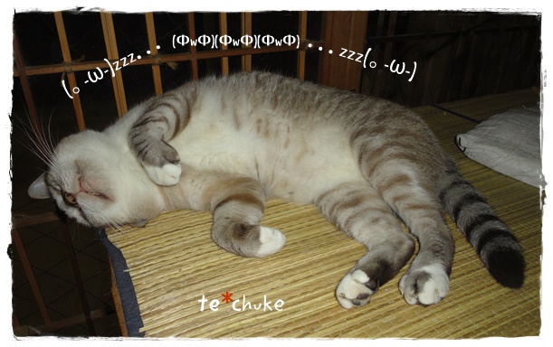 f:id:nyan-chuke:20190819134615j:plain f:id:nyan-chuke:20190819134615j:plain