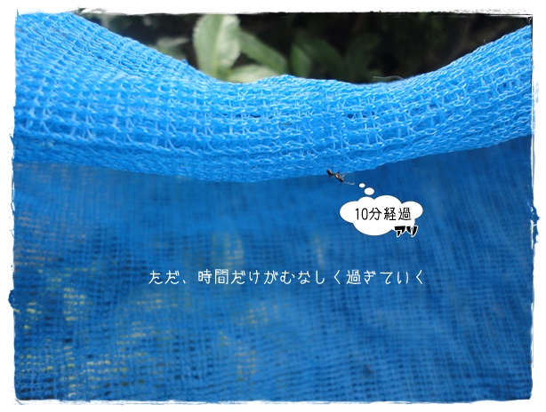 f:id:nyan-chuke:20190819153659j:plain f:id:nyan-chuke:20190819153659j:plain