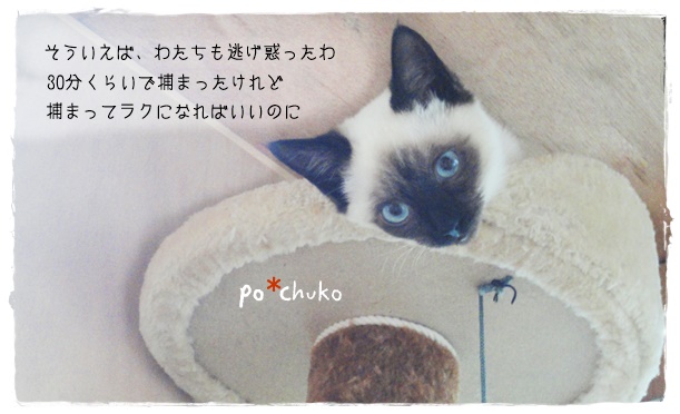 f:id:nyan-chuke:20190820153735j:plain f:id:nyan-chuke:20190820153735j:plain