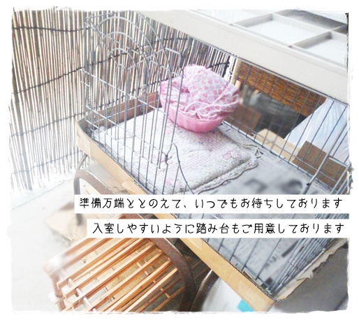 f:id:nyan-chuke:20190820170100j:plain f:id:nyan-chuke:20190820170100j:plain