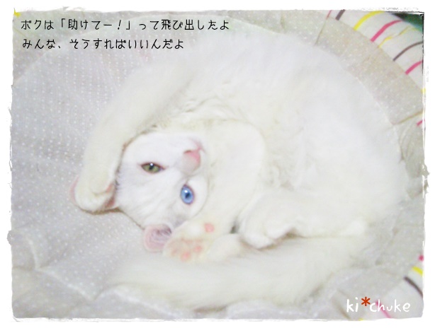 f:id:nyan-chuke:20190820205845j:plain f:id:nyan-chuke:20190820205845j:plain