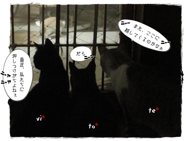 f:id:nyan-chuke:20190827212209j:plain f:id:nyan-chuke:20190827212209j:plain
