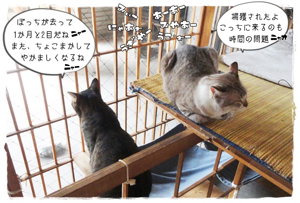 f:id:nyan-chuke:20190827232227j:plain f:id:nyan-chuke:20190827232227j:plain