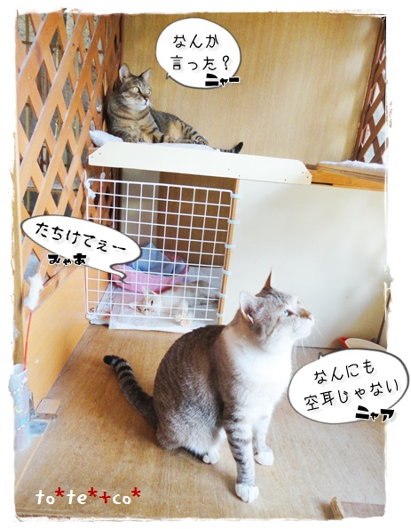 f:id:nyan-chuke:20190905215829j:plain f:id:nyan-chuke:20190905215829j:plain
