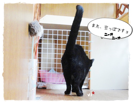 f:id:nyan-chuke:20190906150036j:plain f:id:nyan-chuke:20190906150036j:plain