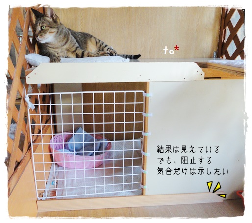 f:id:nyan-chuke:20190906154531j:plain f:id:nyan-chuke:20190906154531j:plain