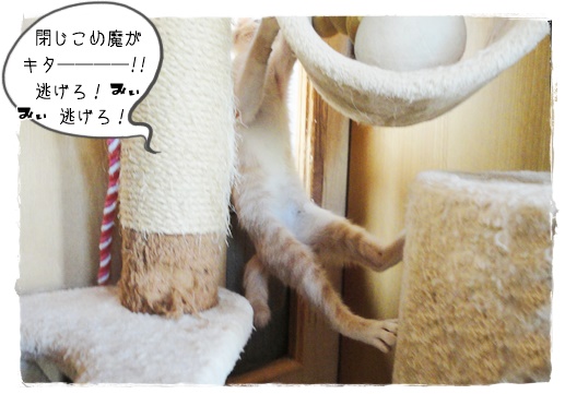 f:id:nyan-chuke:20190906162900j:plain f:id:nyan-chuke:20190906162900j:plain