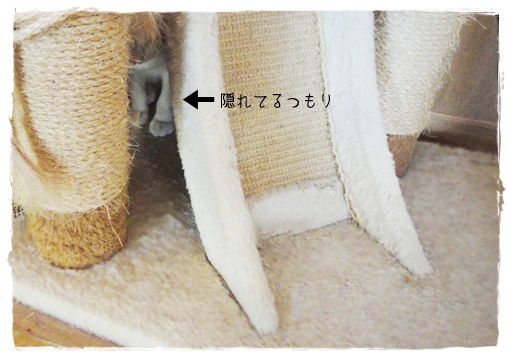 f:id:nyan-chuke:20190906162912j:plain f:id:nyan-chuke:20190906162912j:plain