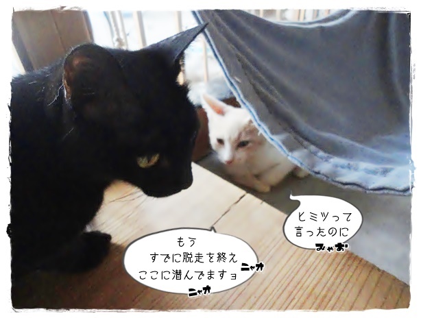 f:id:nyan-chuke:20190906192420j:plain f:id:nyan-chuke:20190906192420j:plain