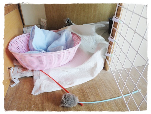 f:id:nyan-chuke:20190906192943j:plain f:id:nyan-chuke:20190906192943j:plain