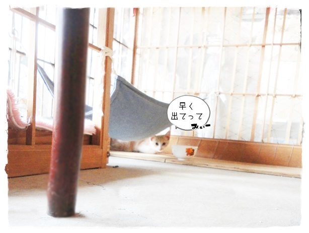f:id:nyan-chuke:20190907152956j:plain f:id:nyan-chuke:20190907152956j:plain