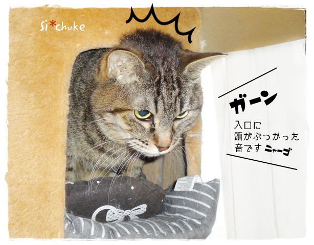 f:id:nyan-chuke:20190910155329j:plain f:id:nyan-chuke:20190910155329j:plain