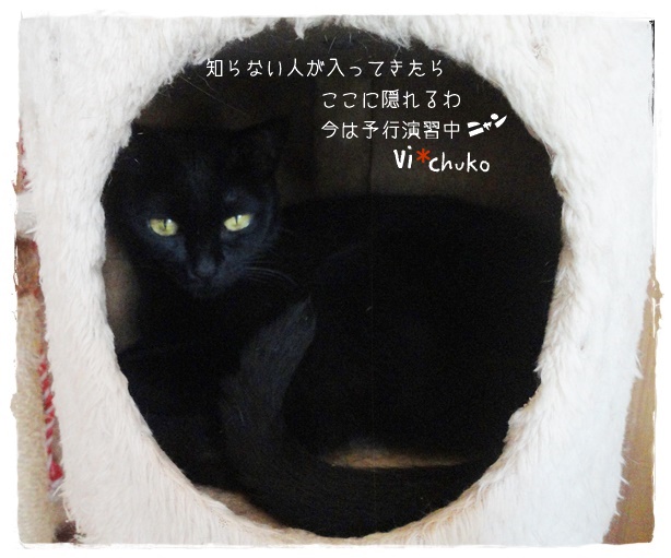 f:id:nyan-chuke:20190910160310j:plain f:id:nyan-chuke:20190910160310j:plain