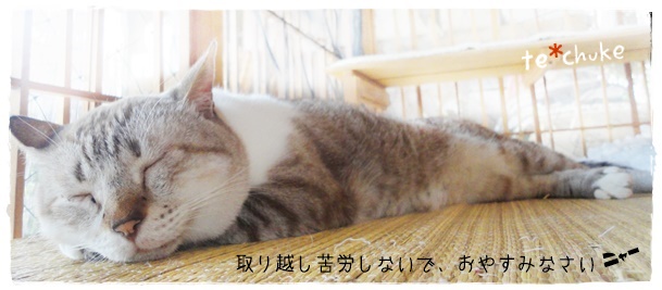 f:id:nyan-chuke:20190910160650j:plain f:id:nyan-chuke:20190910160650j:plain