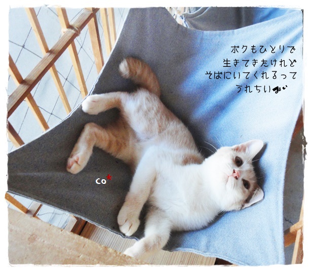 f:id:nyan-chuke:20190910161422j:plain f:id:nyan-chuke:20190910161422j:plain
