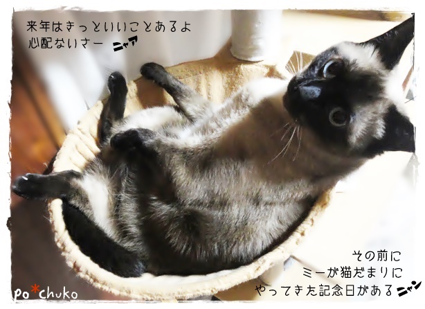 f:id:nyan-chuke:20190910162236j:plain f:id:nyan-chuke:20190910162236j:plain