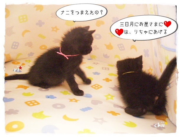 f:id:nyan-chuke:20190910184127j:plain f:id:nyan-chuke:20190910184127j:plain