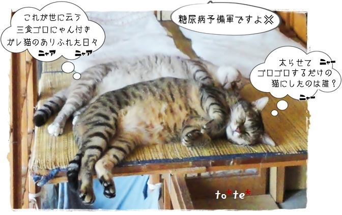 f:id:nyan-chuke:20190911152503j:plain f:id:nyan-chuke:20190911152503j:plain