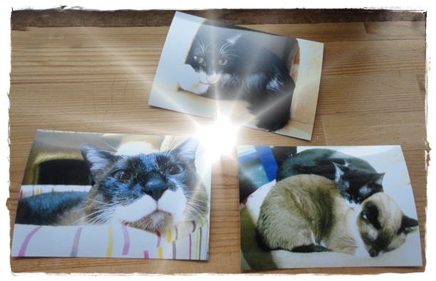 f:id:nyan-chuke:20190911154022j:plain f:id:nyan-chuke:20190911154022j:plain