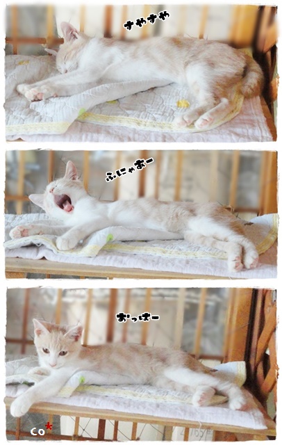 f:id:nyan-chuke:20190920215218j:plain f:id:nyan-chuke:20190920215218j:plain