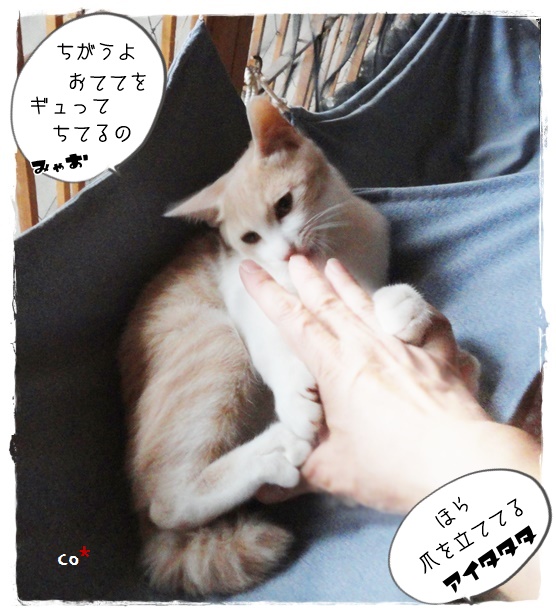 f:id:nyan-chuke:20190924195934j:plain f:id:nyan-chuke:20190924195934j:plain