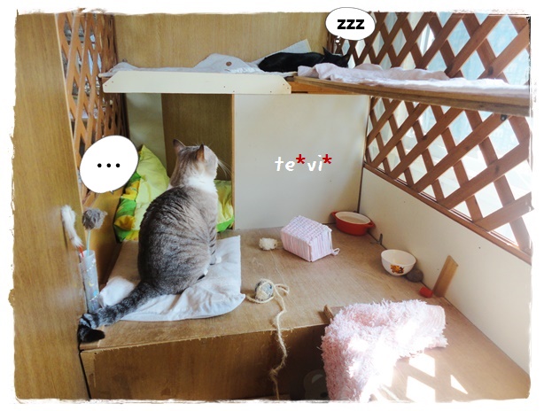 f:id:nyan-chuke:20190924210151j:plain f:id:nyan-chuke:20190924210151j:plain