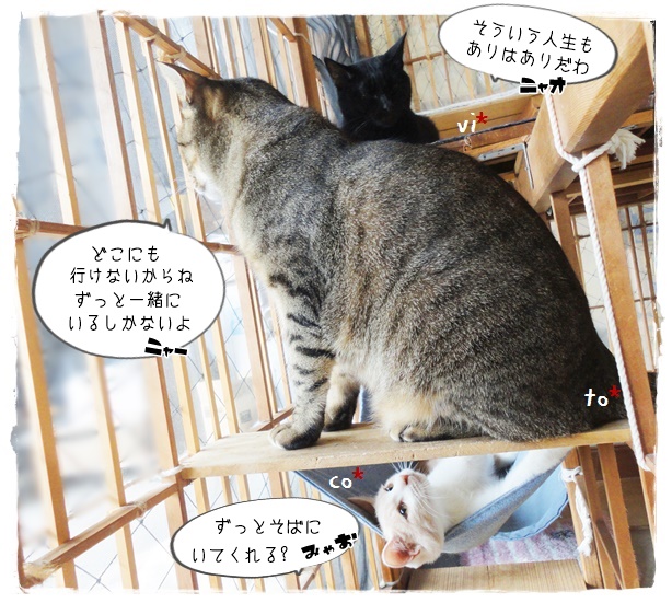 f:id:nyan-chuke:20190924225627j:plain f:id:nyan-chuke:20190924225627j:plain