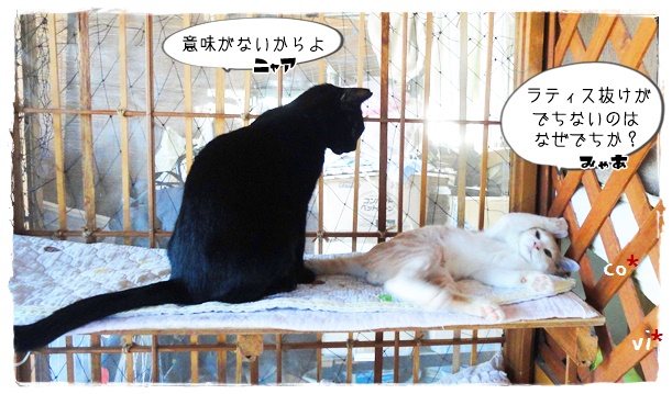 f:id:nyan-chuke:20190924233205j:plain f:id:nyan-chuke:20190924233205j:plain