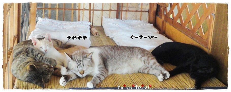 f:id:nyan-chuke:20190925000234j:plain f:id:nyan-chuke:20190925000234j:plain