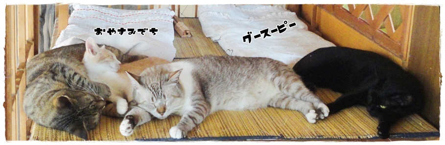 f:id:nyan-chuke:20190925000330j:plain f:id:nyan-chuke:20190925000330j:plain