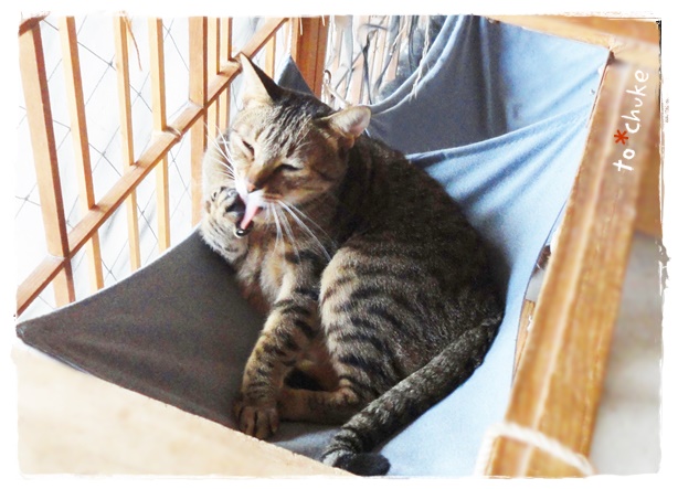f:id:nyan-chuke:20191002184506j:plain f:id:nyan-chuke:20191002184506j:plain