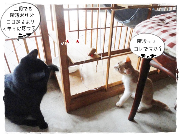 f:id:nyan-chuke:20191002203625j:plain f:id:nyan-chuke:20191002203625j:plain
