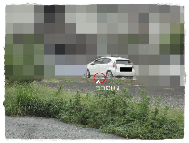 f:id:nyan-chuke:20191006121123j:plain f:id:nyan-chuke:20191006121123j:plain