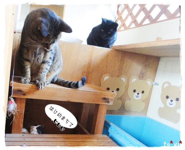f:id:nyan-chuke:20191006194529j:plain f:id:nyan-chuke:20191006194529j:plain