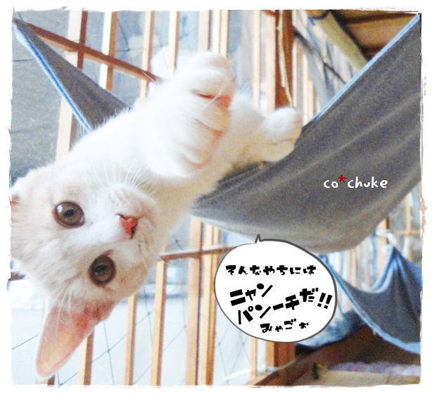 f:id:nyan-chuke:20191010134621j:plain f:id:nyan-chuke:20191010134621j:plain