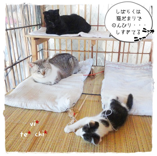 f:id:nyan-chuke:20191010193529j:plain f:id:nyan-chuke:20191010193529j:plain