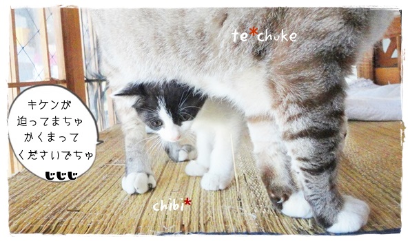 f:id:nyan-chuke:20191012133514j:plain f:id:nyan-chuke:20191012133514j:plain