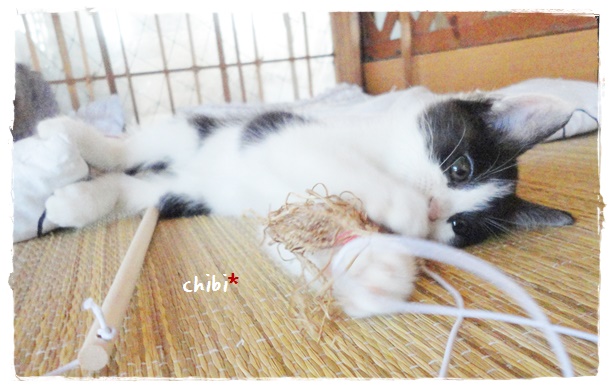 f:id:nyan-chuke:20191012155925j:plain f:id:nyan-chuke:20191012155925j:plain