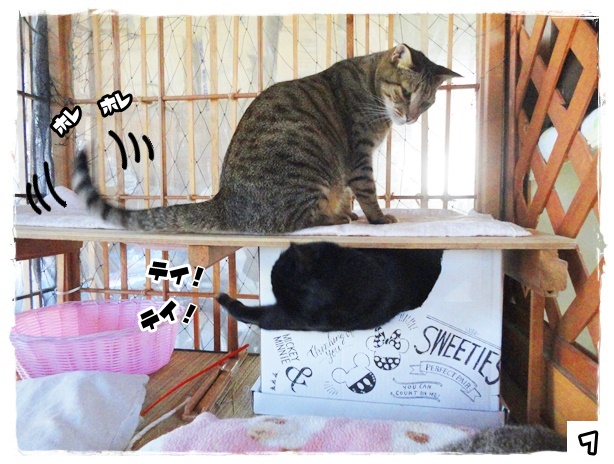 f:id:nyan-chuke:20191013191445j:plain f:id:nyan-chuke:20191013191445j:plain