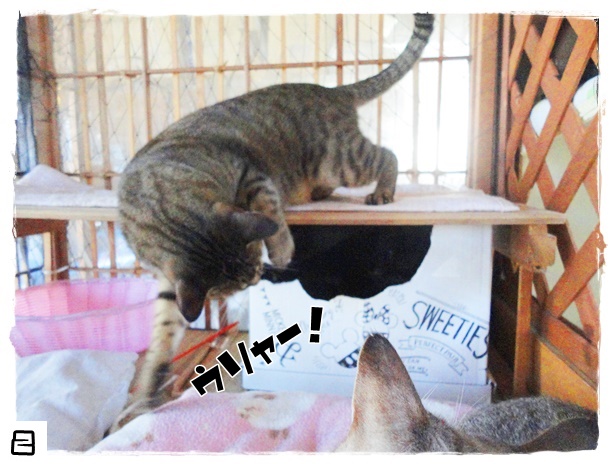 f:id:nyan-chuke:20191013191455j:plain f:id:nyan-chuke:20191013191455j:plain