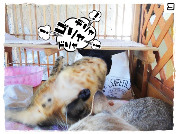 f:id:nyan-chuke:20191013192510j:plain f:id:nyan-chuke:20191013192510j:plain