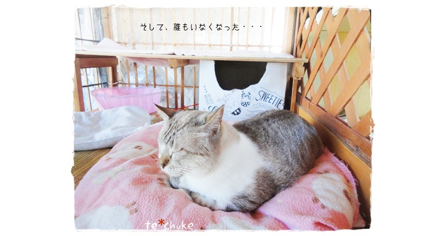 f:id:nyan-chuke:20191013194241j:plain f:id:nyan-chuke:20191013194241j:plain