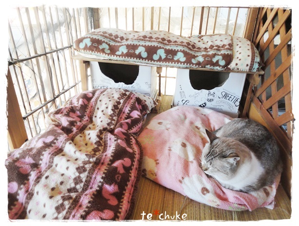 f:id:nyan-chuke:20191013213401j:plain f:id:nyan-chuke:20191013213401j:plain