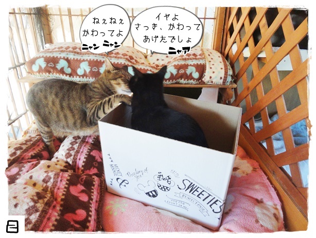 f:id:nyan-chuke:20191014130540j:plain f:id:nyan-chuke:20191014130540j:plain