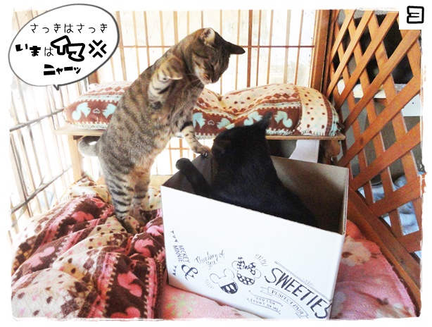 f:id:nyan-chuke:20191014130555j:plain f:id:nyan-chuke:20191014130555j:plain